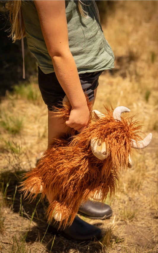 Henry the Highland Cow
