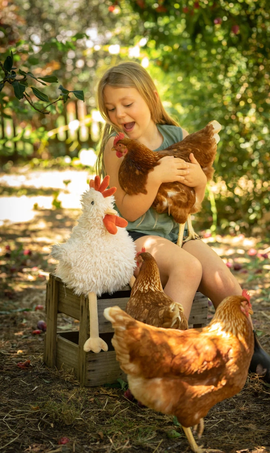 đROY the Rooster