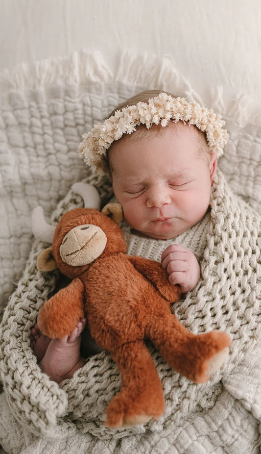 Henry the highland cow rattle