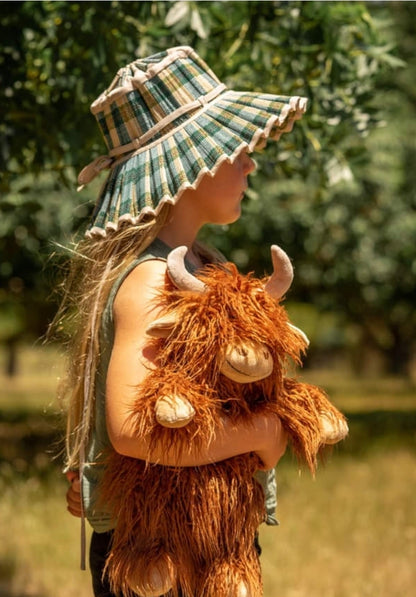 Henry the Highland Cow