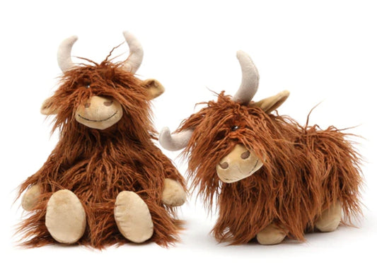 HEIDI the Highland Cow