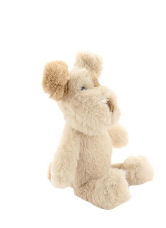 Buddy the dog rattle
