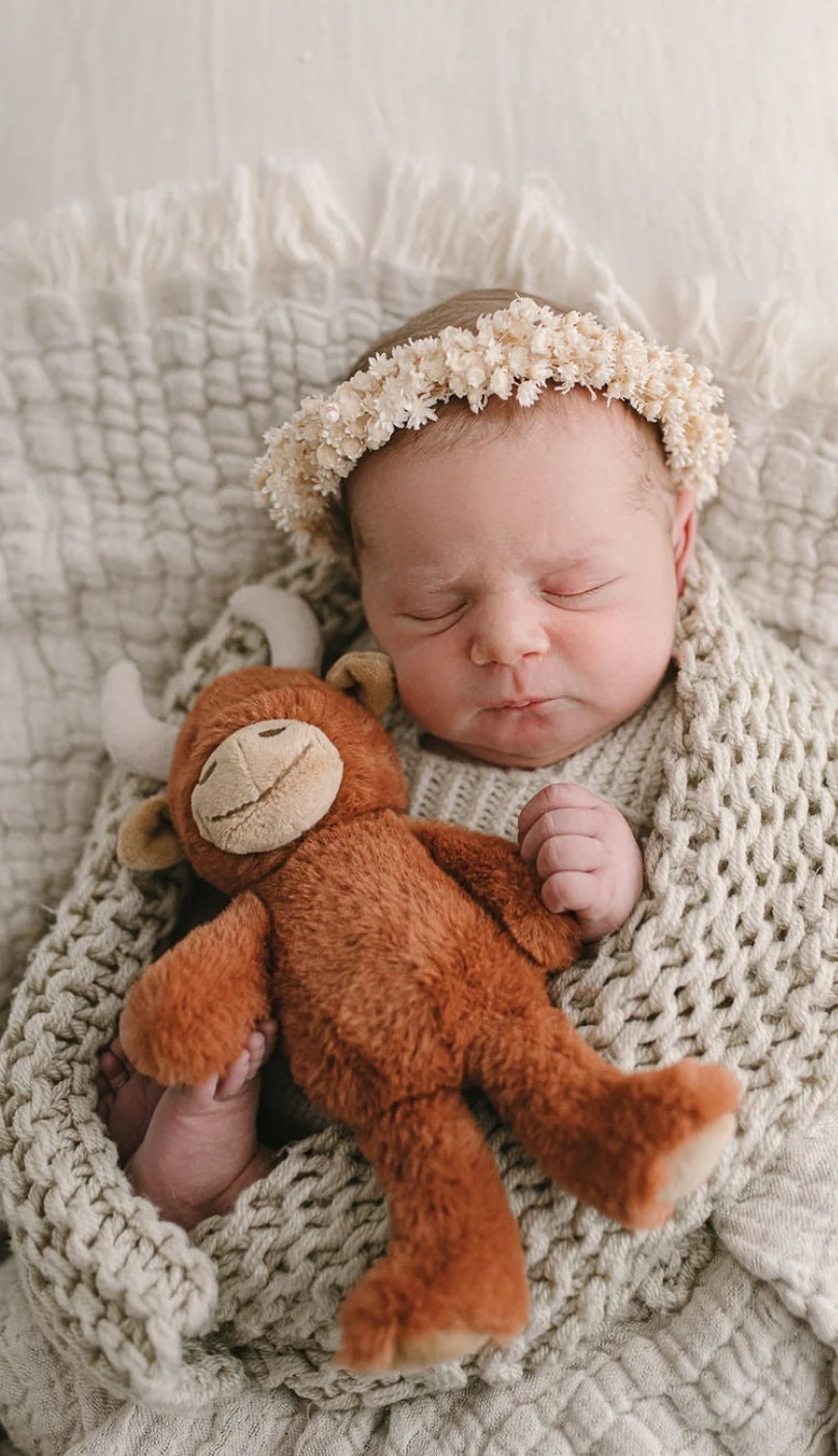 Henry the highland cow rattle